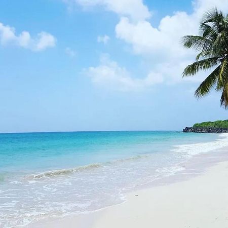 - Les Pieds Dans L'Eau A 50M De La Plage, Cote Mer Caraibe - Domaine De L'Anse Caritan - Sainte-Anne - Ngoại thất bức ảnh