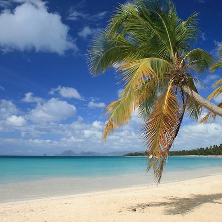 - Les Pieds Dans L'Eau A 50M De La Plage, Cote Mer Caraibe - Domaine De L'Anse Caritan - Sainte-Anne - Ngoại thất bức ảnh
