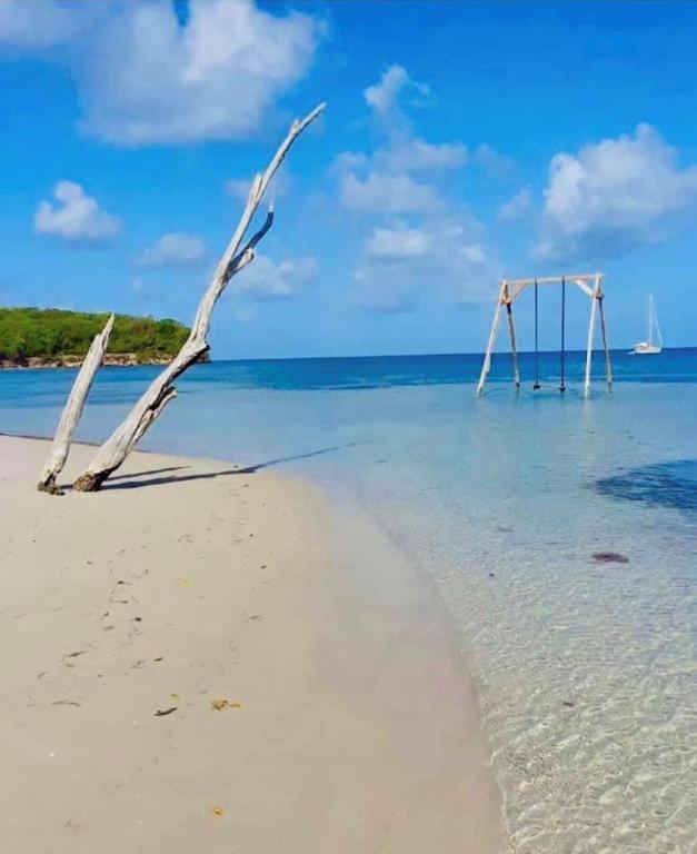 - Les Pieds Dans L'Eau A 50M De La Plage, Cote Mer Caraibe - Domaine De L'Anse Caritan - Sainte-Anne - Ngoại thất bức ảnh