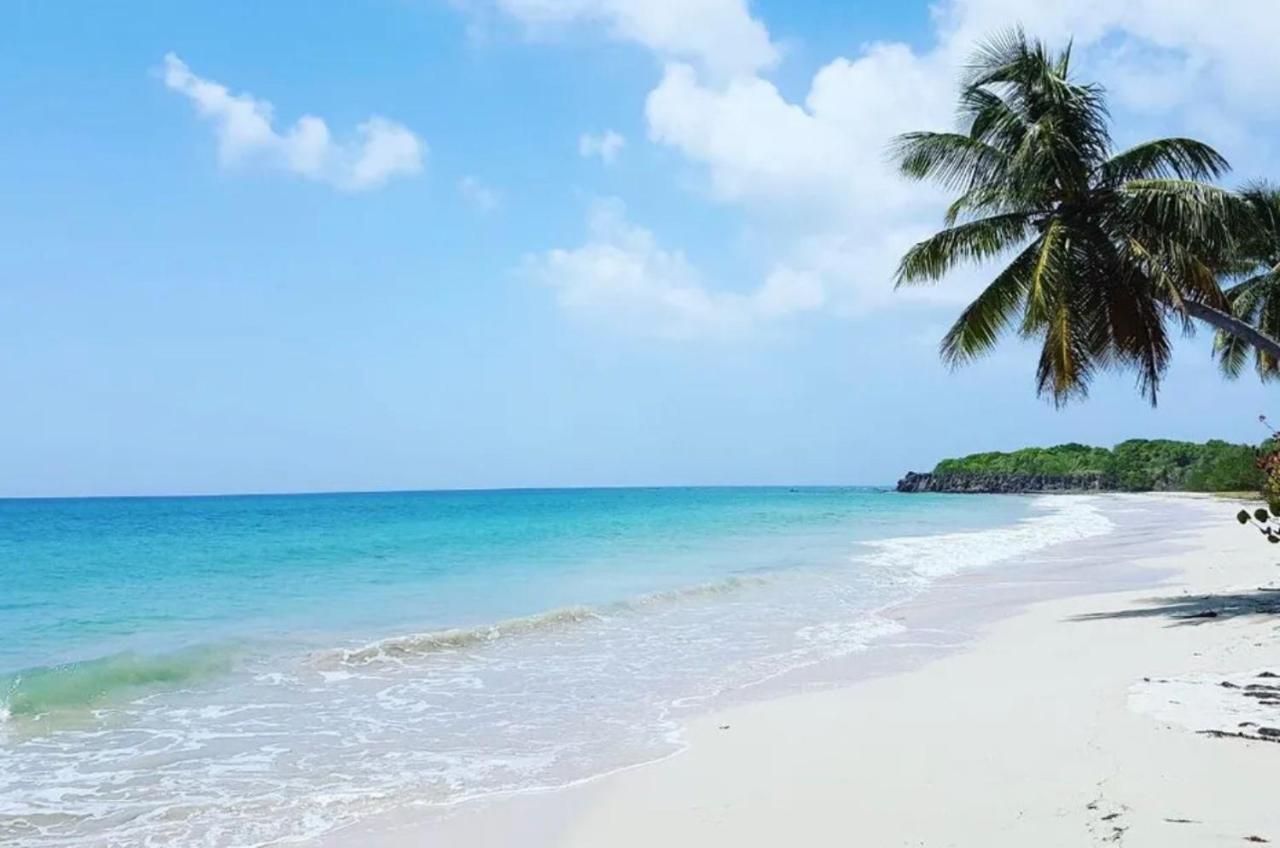 - Les Pieds Dans L'Eau A 50M De La Plage, Cote Mer Caraibe - Domaine De L'Anse Caritan - Sainte-Anne - Ngoại thất bức ảnh