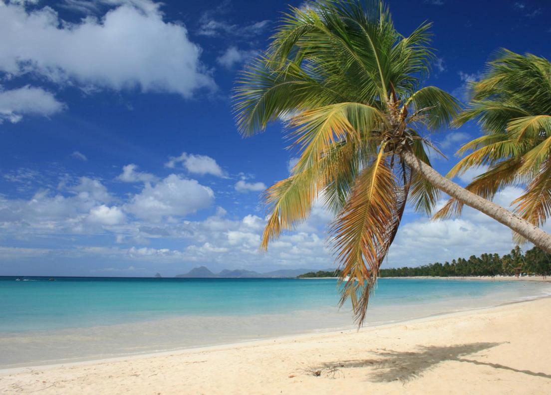 - Les Pieds Dans L'Eau A 50M De La Plage, Cote Mer Caraibe - Domaine De L'Anse Caritan - Sainte-Anne - Ngoại thất bức ảnh
